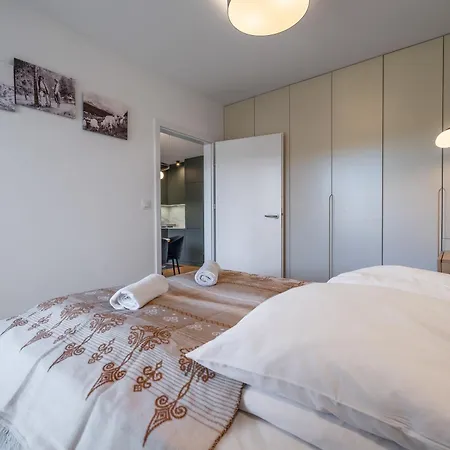 135 - Zakopianski Sauna & Jacuzzi & Silownia & Plac Zabaw *